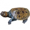 https://www.americanbreeder.com/images/com_adsmanager/categories/2362cat_t.jpg