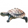 https://www.americanbreeder.com/images/com_adsmanager/categories/2389cat_t.jpg