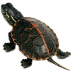 https://www.americanbreeder.com/images/com_adsmanager/categories/2397cat_t.jpg