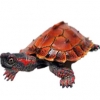 https://www.americanbreeder.com/images/com_adsmanager/categories/2399cat_t.jpg