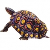 https://www.americanbreeder.com/images/com_adsmanager/categories/2406cat_t.jpg