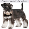 https://www.americanbreeder.com/images/com_adsmanager/categories/2453cat_t.jpg
