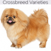 https://www.americanbreeder.com/images/com_adsmanager/categories/2456cat_t.jpg