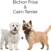 https://www.americanbreeder.com/images/com_adsmanager/categories/2490cat_t.jpg