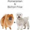 https://www.americanbreeder.com/images/com_adsmanager/categories/2493cat_t.jpg