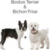 https://www.americanbreeder.com/images/com_adsmanager/categories/2508cat_t.jpg
