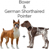 https://www.americanbreeder.com/images/com_adsmanager/categories/2520cat_t.jpg