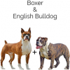 https://www.americanbreeder.com/images/com_adsmanager/categories/2526cat_t.jpg