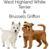 https://www.americanbreeder.com/images/com_adsmanager/categories/2536cat_t.jpg