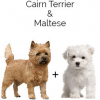 https://www.americanbreeder.com/images/com_adsmanager/categories/2550cat_t.jpg