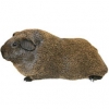 https://www.americanbreeder.com/images/com_adsmanager/categories/2579cat_t.jpg
