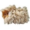 https://www.americanbreeder.com/images/com_adsmanager/categories/2588cat_t.jpg