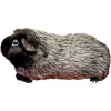 https://www.americanbreeder.com/images/com_adsmanager/categories/2608cat_t.jpg