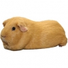 https://www.americanbreeder.com/images/com_adsmanager/categories/2631cat_t.jpg