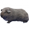 https://www.americanbreeder.com/images/com_adsmanager/categories/2648cat_t.jpg