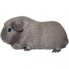 https://www.americanbreeder.com/images/com_adsmanager/categories/2655cat_t.jpg
