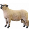 https://www.americanbreeder.com/images/com_adsmanager/categories/2696cat_t.jpg