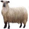 https://www.americanbreeder.com/images/com_adsmanager/categories/2721cat_t.jpg