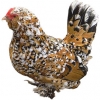 https://www.americanbreeder.com/images/com_adsmanager/categories/2883cat_t.jpg