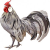 https://www.americanbreeder.com/images/com_adsmanager/categories/2906cat_t.jpg