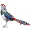 https://www.americanbreeder.com/images/com_adsmanager/categories/3163cat_t.jpg