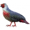 https://www.americanbreeder.com/images/com_adsmanager/categories/3167cat_t.jpg