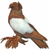 https://www.americanbreeder.com/images/com_adsmanager/categories/3233cat_t.jpg