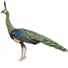 https://www.americanbreeder.com/images/com_adsmanager/categories/3301cat_t.jpg