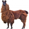 https://www.americanbreeder.com/images/com_adsmanager/categories/3321cat_t.jpg