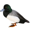 https://www.americanbreeder.com/images/com_adsmanager/categories/3434cat_t.jpg