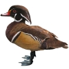 https://www.americanbreeder.com/images/com_adsmanager/categories/3446cat_t.jpg