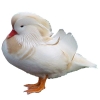 https://www.americanbreeder.com/images/com_adsmanager/categories/3455cat_t.jpg