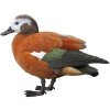 https://www.americanbreeder.com/images/com_adsmanager/categories/3459cat_t.jpg