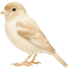 https://www.americanbreeder.com/images/com_adsmanager/categories/3546cat_t.jpg