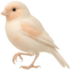 https://www.americanbreeder.com/images/com_adsmanager/categories/3550cat_t.jpg