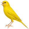 https://www.americanbreeder.com/images/com_adsmanager/categories/3589cat_t.jpg