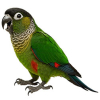 https://www.americanbreeder.com/images/com_adsmanager/categories/4005cat_t.jpg