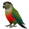 https://www.americanbreeder.com/images/com_adsmanager/categories/4007cat_t.jpg