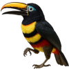 https://www.americanbreeder.com/images/com_adsmanager/categories/4177cat_t.jpg