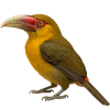 https://www.americanbreeder.com/images/com_adsmanager/categories/4180cat_t.jpg