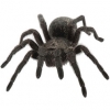 https://www.americanbreeder.com/images/com_adsmanager/categories/4218cat_t.jpg