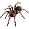 https://www.americanbreeder.com/images/com_adsmanager/categories/4227cat_t.jpg