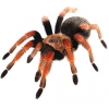 https://www.americanbreeder.com/images/com_adsmanager/categories/4228cat_t.jpg