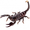 https://www.americanbreeder.com/images/com_adsmanager/categories/4252cat_t.jpg