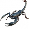 https://www.americanbreeder.com/images/com_adsmanager/categories/4253cat_t.jpg