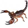 https://www.americanbreeder.com/images/com_adsmanager/categories/4256cat_t.jpg