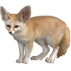 https://www.americanbreeder.com/images/com_adsmanager/categories/4259cat_t.jpg