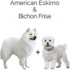 https://www.americanbreeder.com/images/com_adsmanager/categories/4349cat_t.jpg