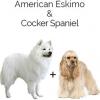 https://www.americanbreeder.com/images/com_adsmanager/categories/4352cat_t.jpg