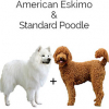 https://www.americanbreeder.com/images/com_adsmanager/categories/4355cat_t.jpg